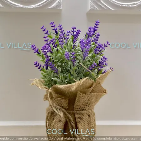 Serenity - Sea, Beach, Golf For 6 Guests Apartment Albufeira